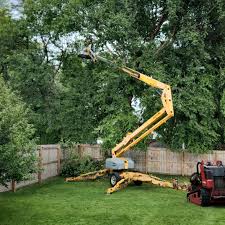 Leaf Removal in Hephzibah, GA